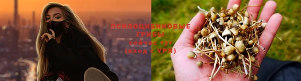 мет Арсеньев