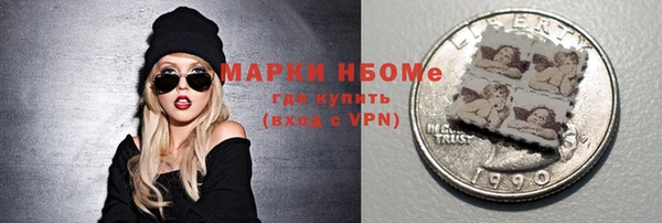 МДПВ Протвино