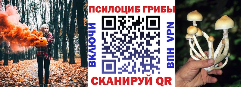 где можно купить наркотик  Крым  Галлюциногенные грибы Psilocybine cubensis 
